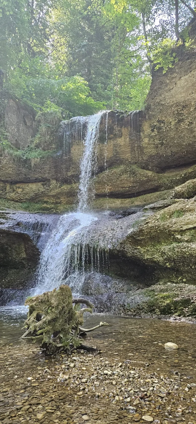 Ein Bach und ein Wasserfall im schattigen Wald